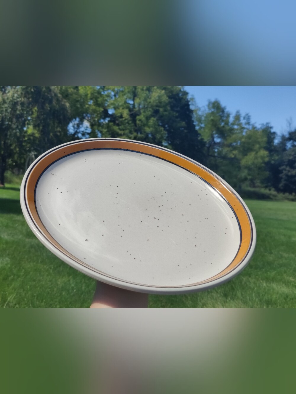 Vintage Oval Serving Platter 14"